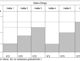 makro döngü ve vücut geliştirme ilişkisi