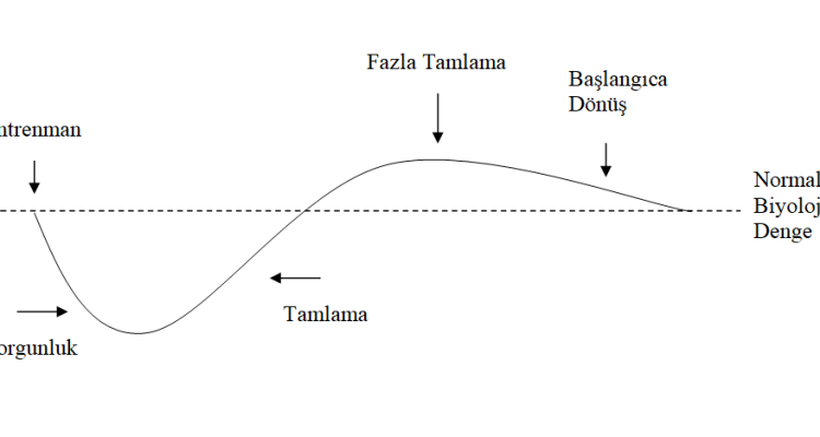 fazla tamlama ve vücut geliştirme